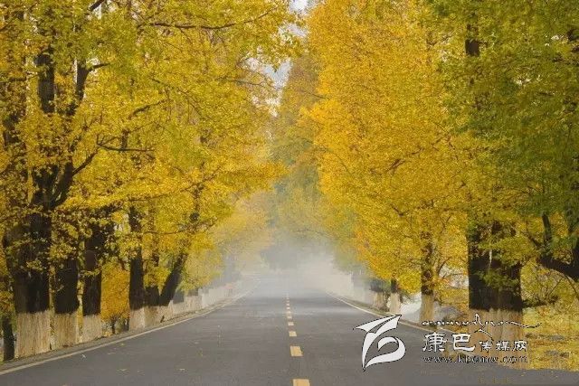 康定新都橋，有一條黃金大道通往夢(mèng)中的天堂
