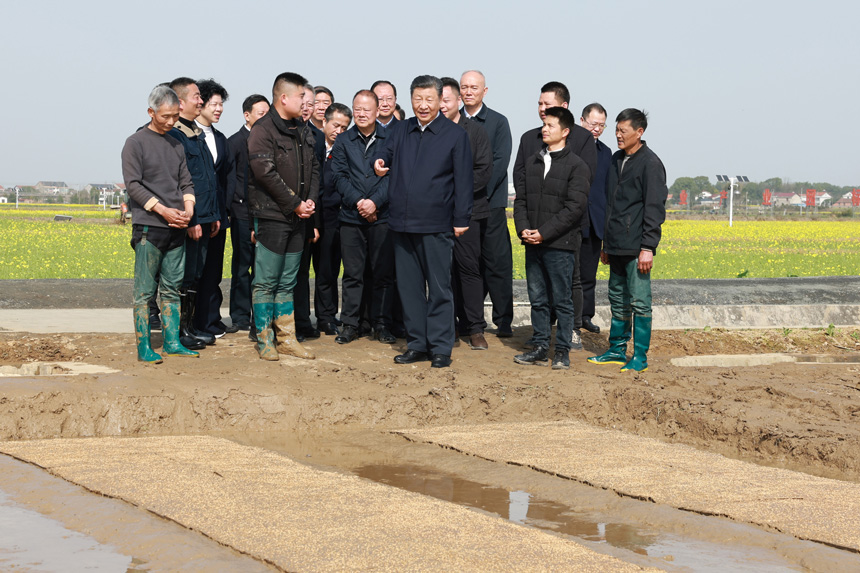2024年3月18日至21日，中共中央總書記、國(guó)家主席、中央軍委主席習(xí)近平在湖南考察。這是19日下午，習(xí)近平在常德市鼎城區(qū)謝家鋪鎮(zhèn)港中坪村走進(jìn)田間，察看秧苗培育和春耕備耕進(jìn)展。新華社記者 王曄 攝